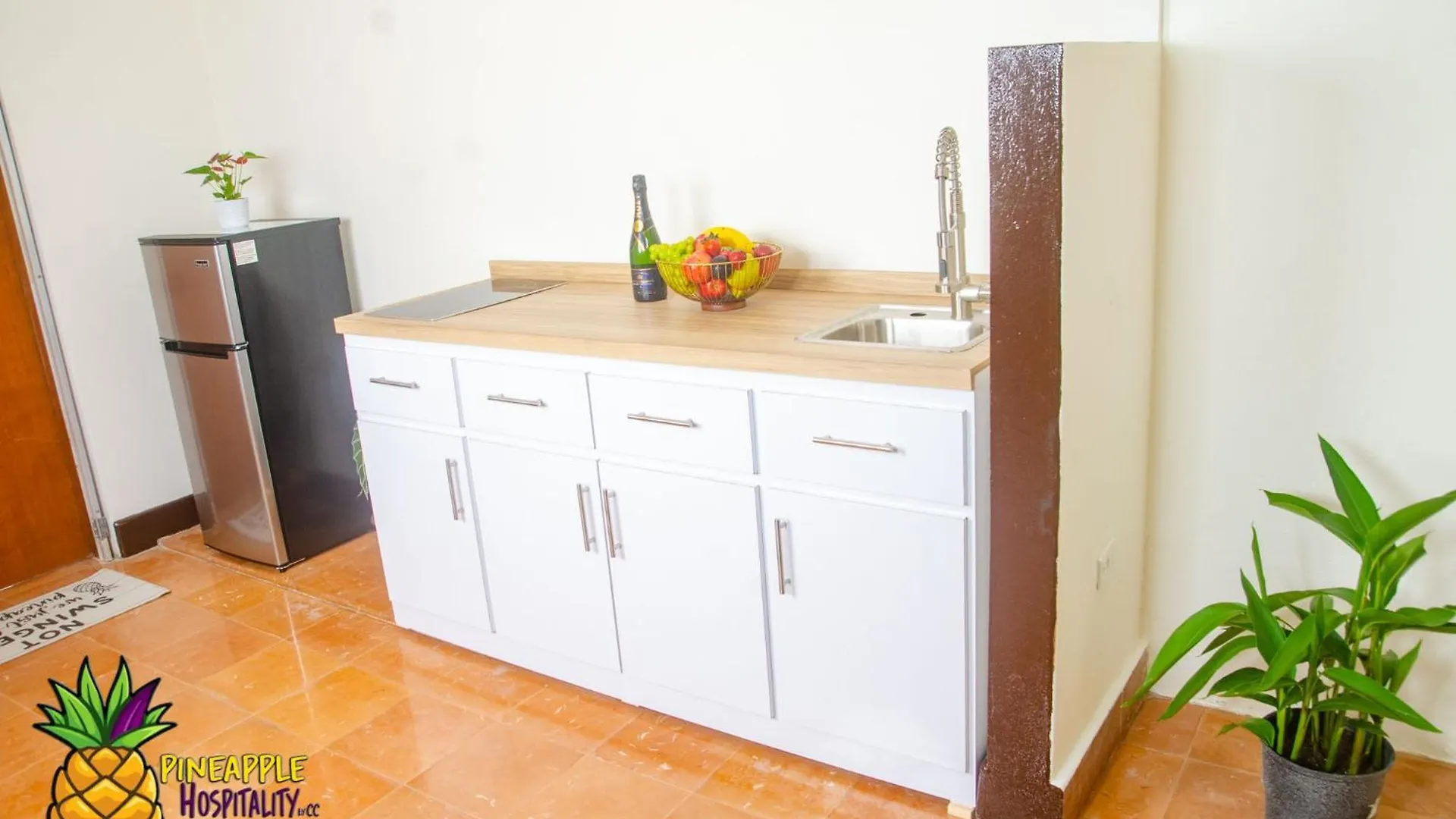 Pineapple Hospitality Apartment Mayaguez Puerto Rico