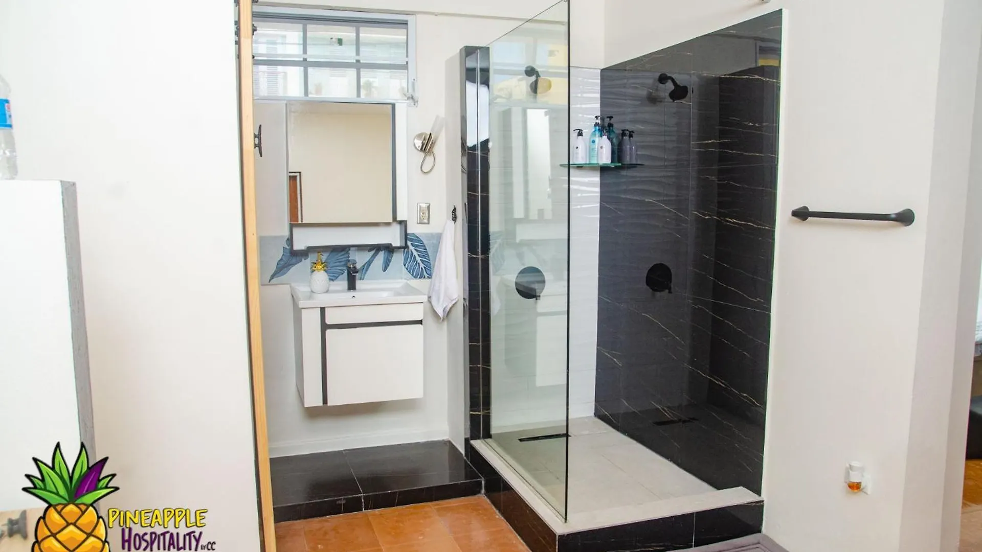 Pineapple Hospitality Apartment Mayaguez Puerto Rico